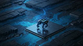 Navigating Web Security: Understanding Bot Protection and Verification Processes