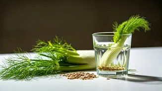 Natural Remedy Alert: Use Fennel Water For Bloating