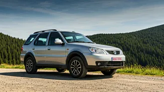 New Car Launches & Reviews: A Look at the Latest Models