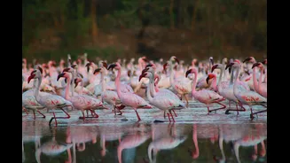 Winter Planning Tips for Navi Mumbai Visitors