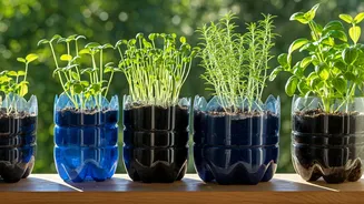 Urban Gardening Guides Focus Heavily On Upcycling Old Plastic Bottles