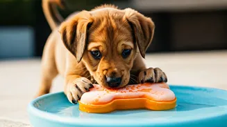 Craft Frozen Pumpkin Puree Toys For Active Puppies Today