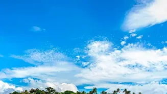 Autumn island hopping in Andaman: Exploring Havelock's marine life and Neil's tranquil shores