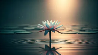 Unlocking Liberation: 7 Moments Karma's Hold Loosens