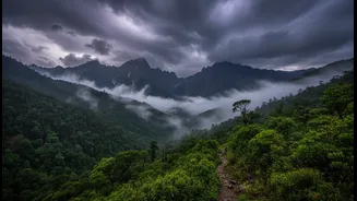 Why tracking real-time weather alerts is vital for a successful Valley of Flowers trek