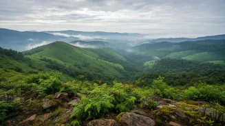 Why Young Digital Nomads Pick Shillong As Rainy Season Remote Work Haven