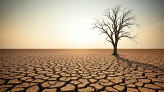 IMD Alert: Below-Normal Monsoon Expected For First Time Since