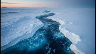 The Science Behind Antarctica's Unusual Sea Ice Loss