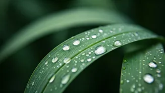 The Ultimate Skincare Strategy For Sticky Indian Monsoon Weather