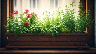 Urban Gardening Guides Make Green Hobbies Unbelievably Easy For