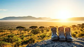 Visa-Easy Africa Could Be Gen Z’s Next Flex