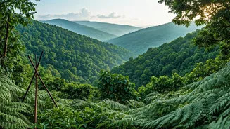 Travel Reels Spotlight Wayanad Green Valleys For Offbeat Eco Camping