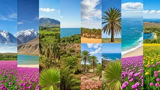 India's Yearly Escapade: 12 Must-Visit Destinations