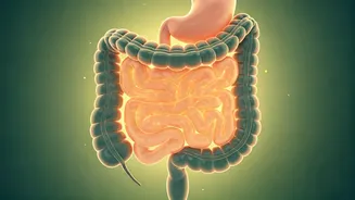 How Fibermaxxing Restored Indian Gen Z Digestive Balance Completely