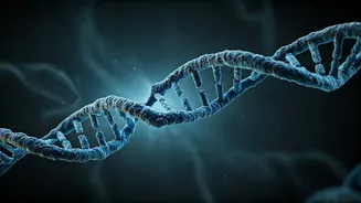 DNA study reveals ancient plague origins