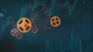 Indian Equities: Navigating Growth & Profit Pools