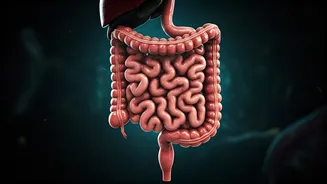 Experts Say Gut Care Matters During Rains