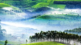 Assam's Landscapes Offer Calm, Green Escapes This Travel Season