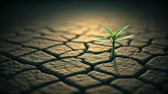 Unseen Shifts: How to Recognize Your Subtle Personal Growth