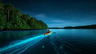 Night Kayaking Turns Andaman Trips Into Magic