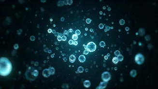 Glow-in-the-Dark Sugars: Unlocking Ocean Carbon Secrets