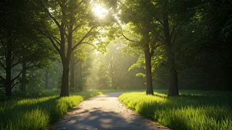 Short walks boost mental and physical health
