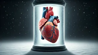 Related Stories banner