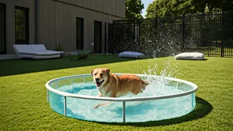 Traveling Youth Book Cage Free Boardings Featuring Canine Splash Pools