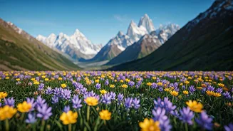 Valley Of Flowers Calls For Smart Trekkers