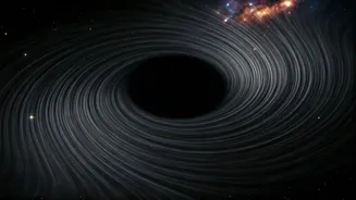 Black Hole's Dance: Unveiling Einstein's Predictions