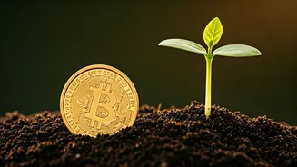 Get Rich Slow Is The New Smart Move