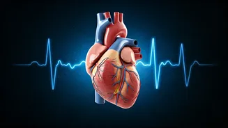 Understanding Elevated Nighttime Blood Pressure