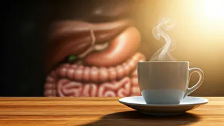 Boost Longevity: Coffee's Surprising Benefits