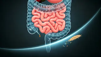 Unlock a Healthy Gut: Expert Daily Habits for Optimal Bowel Function