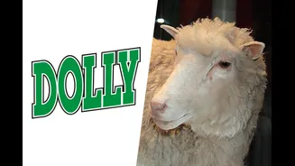 Conexões: do refrigerante Dolly à ovelha Dolly