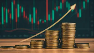 Decoding Market Trends: Investing Smarter in India