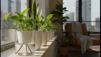 Self-Watering Planters Could Be The Next Big Apartment Gardening Tool