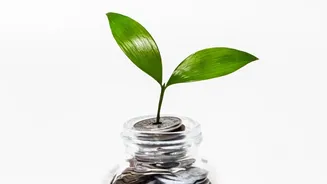 How To Leverage Compound Growth By Starting A ₹500 SIP In Early Career