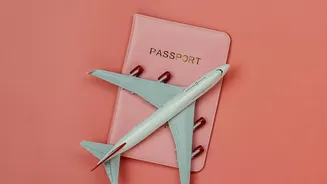India's E-Visa Expansion Explained: 88 International Entry Ports