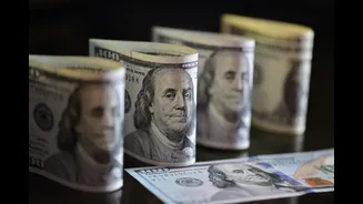 India’s forex reserves hit new peak: Rises to $740.80 billion, adds $11.47 billion in a week