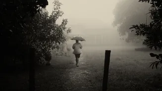 11:11 Weekend | Planning a monsoon getaway, tighter train rules and why your trip to see cherry blossoms in Japan will cost more