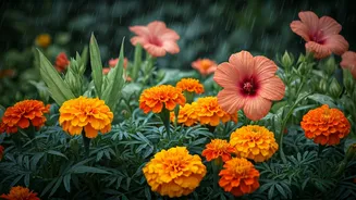 Garden Goals Start With Monsoon Flowers