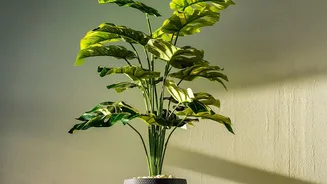 Plant Stands Can Lift Bedroom Greenery Without Blocking Walking Space