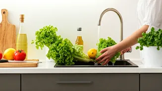 Food Safety Starts Before The First Bite