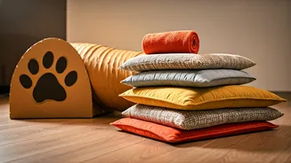 Build Texturized Obstacle Courses To Entertain Your Indoor Pups