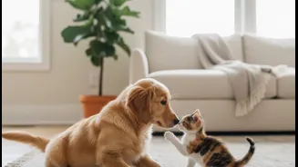 Dog and Cat Interactions: What Is New, what Matters and what Remains Unclear