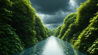 Meghalaya Gives Monsoon Travel A Ritual Heart