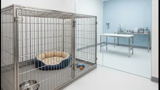 Owners Should Check Space, Rules And Emergency Access Before Booking Pet Stays