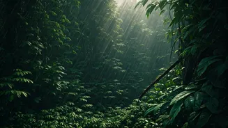 Monsoon Makes Andaman Islands Lush And Wild