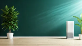 Clean Air: Simple Home Strategies